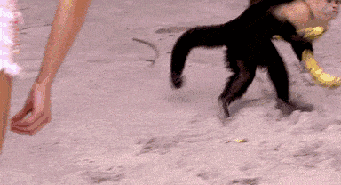 记录面纱美人,那种不知己美的状态超迷人!_猴子