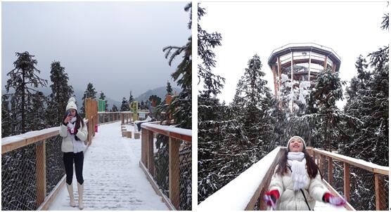 重庆仙女山冰雪季，邀约来“树顶漫步”吧！