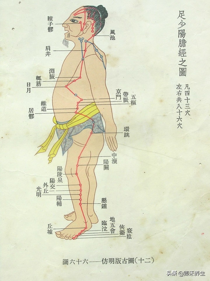 养生时间与经络关系 5fdd508e9a0a45a9b9a90ca014e83f83.jpeg