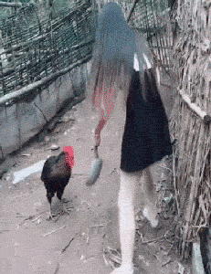 搞笑gif段子1妹子这是条大鱼小心杆子别拉断了