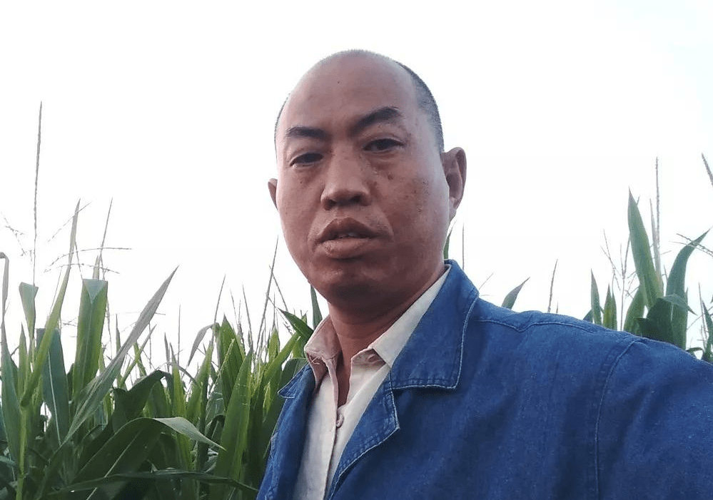 韦洲镇人口_人口普查