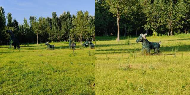 屏幕|OPPO Find X2 Pro，能够惊艳感官的旗舰手机