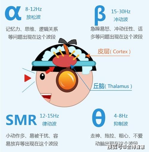 注意力训练图 3f9d659f4edc44ada18a1f06149c24ab.jpeg