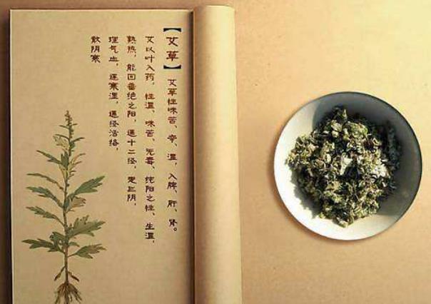 艾是什么意思怎么解释 445fa4a23c3a4431abf5056f369d9e41.jpeg