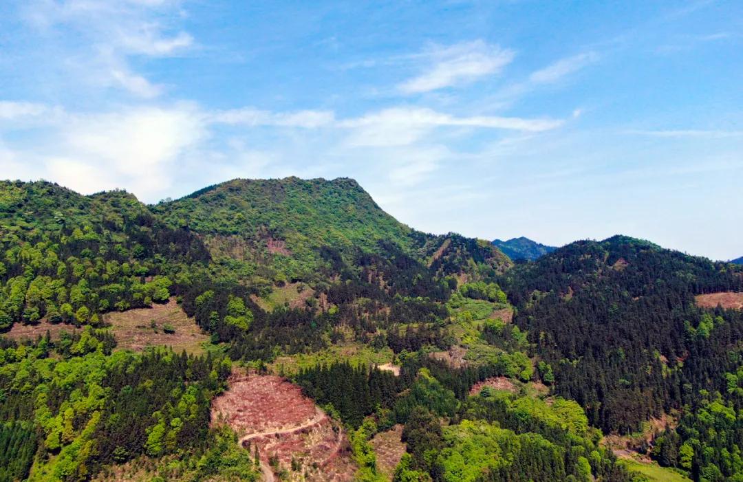 【创建天府旅游名县】来四川兴文领略山魂、水韵、徜徉多彩麒麟