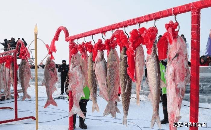天价！吉林松原查干湖冬捕头鱼拍出2966666元，网友：这吃的是人民币