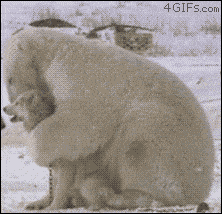 原创gif搞笑趣图:小伙子,别浪费时间了,你还是先到理发馆去看看吧