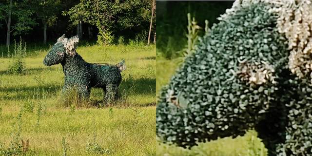 屏幕|OPPO Find X2 Pro，能够惊艳感官的旗舰手机