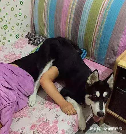 eafe05c937674f37accf04b9b1f3e2de.jpeg