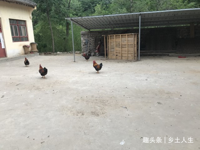 2a0e151bb1cf400eba301b9533871e22.jpeg
