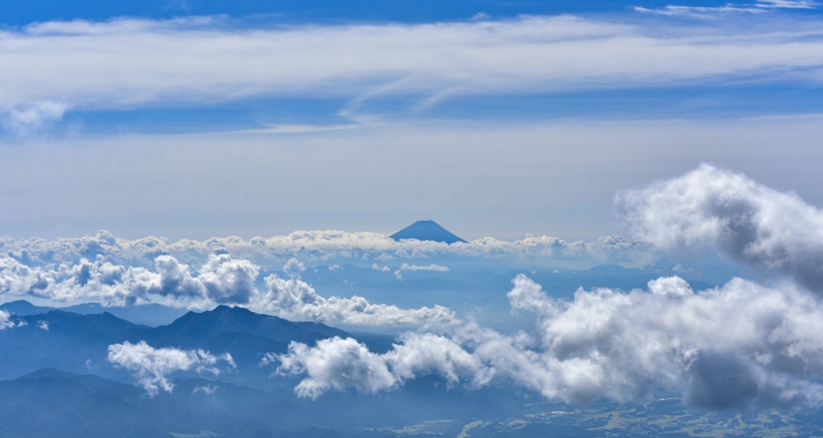 2020年这些家电企业的大动作影响深远-家电圈官网
