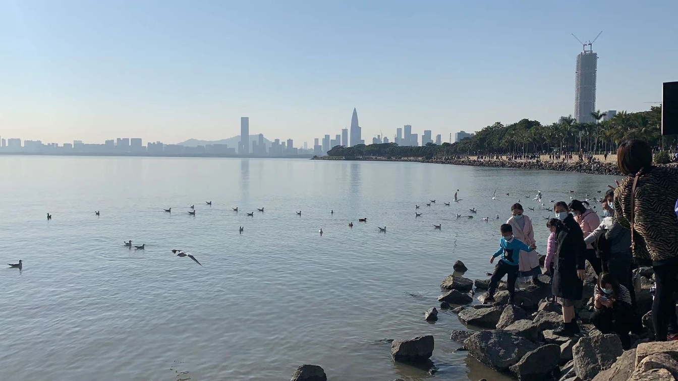 文明观鸟成为越来越多深圳市民朋友的共识