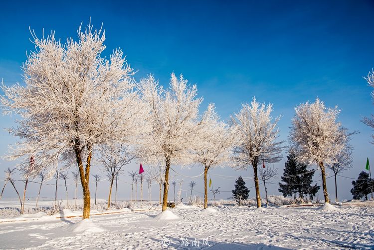 原来新疆藏着小“瑞士”，景色梦幻似仙境，游客专程来滑雪！