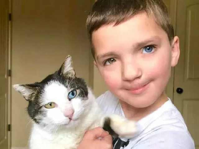 5266d9d50eba4a619a245a789f8ff8e1.jpeg