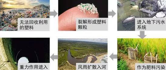 害怕,塑料开始龙八国际登录“入侵”人类胎盘