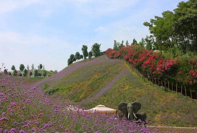 旅游风景区赏花指南 930f8eb42e1042b294df4a4e912bec50.jpeg