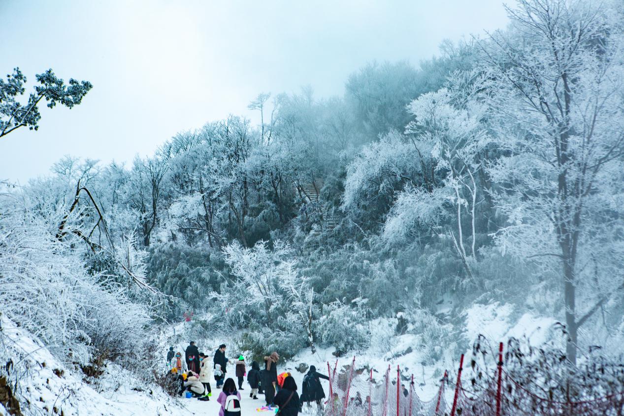 滑雪成热门绵阳九皇山元旦游客破万打响新年开门红