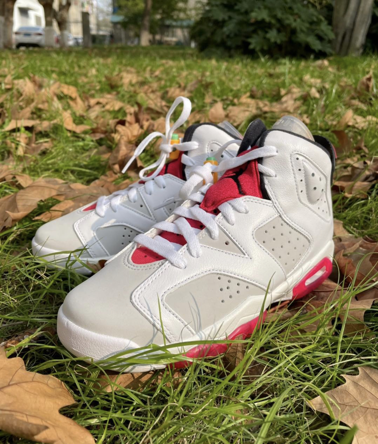 一双百搭的aj6 | 兔八哥 air jordan 6 hare兔八哥