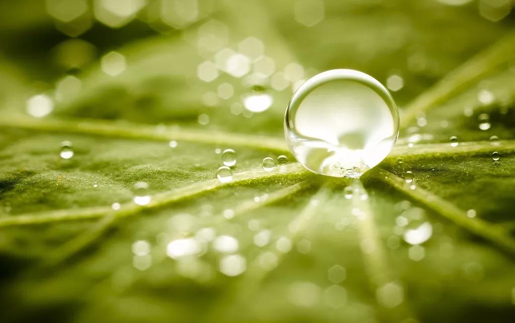 6020f24a9a8248499d21473358c9dfd5.jpeg