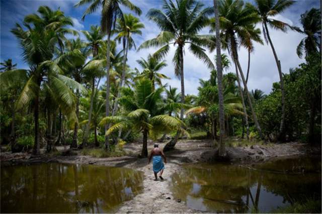全球海平面上升此岛国不得不求我们帮助我国可以但有个前提