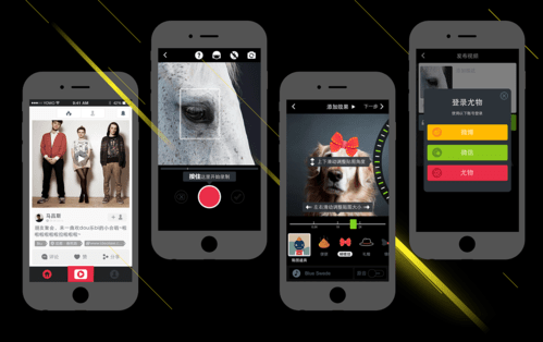 手机如何开直播间 d348ab32e3c74914b58db24336951e49.png