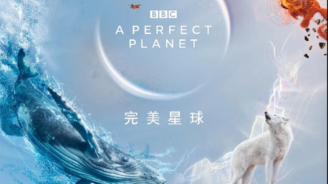 bbc《完美星球》首播:历时四年拍6大洲,31个国家,揭示生命奥秘