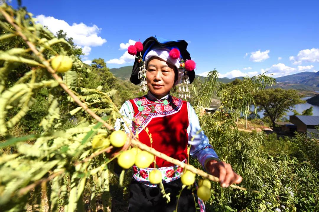 巍山县青华乡黑惠江畔建起江红农场