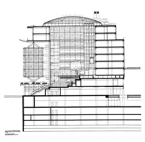 �����߼������������й����� | ר��RSHP�ϻ���Richard Paul