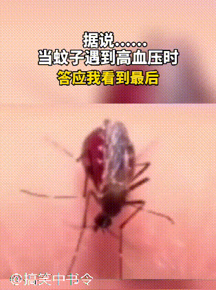 新郎新娘的名字真是天造地设的一对,缘分!