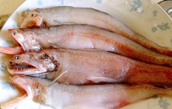 原创都能吃得起的四种海鱼,实惠又美味,常吃的朋友都会过日子