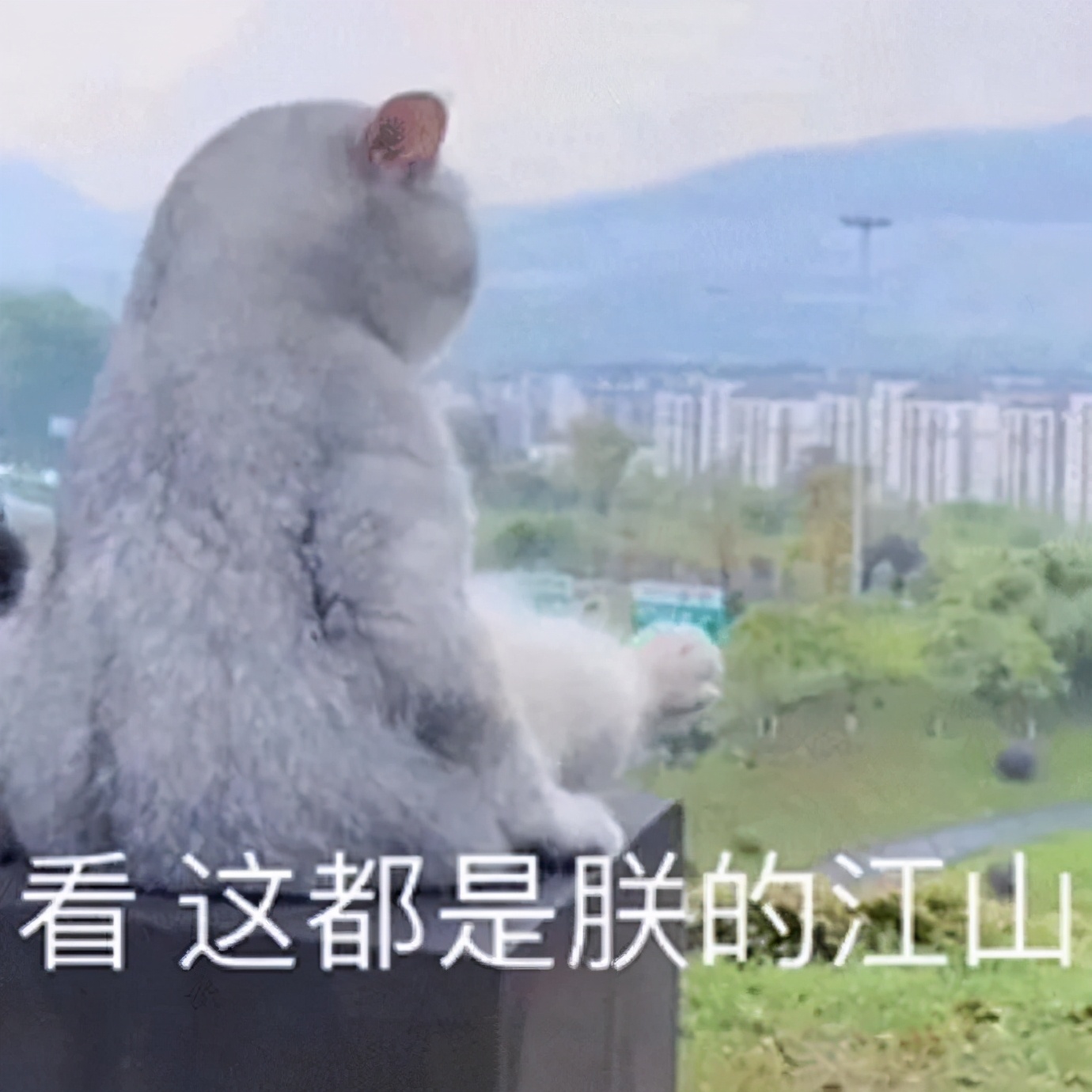 怎样变得幽默风趣搞笑 7a7b74572eb7416a94c612d0df19cfc2.jpeg