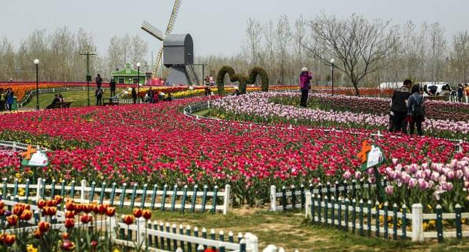 连云港gdp能达到5000亿吗_连云港灌云福田三能车(3)