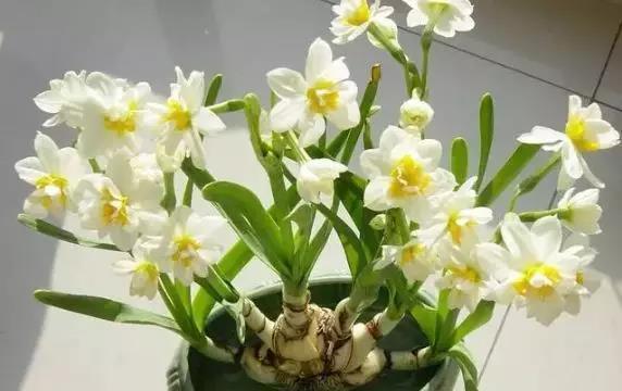 f09d285157504a05b0be6c7f798aeb90.jpeg