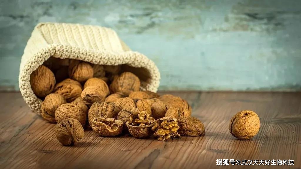 盘核桃对人体有什么好处 10ead5d94aff41a69155be60393f588e.jpeg