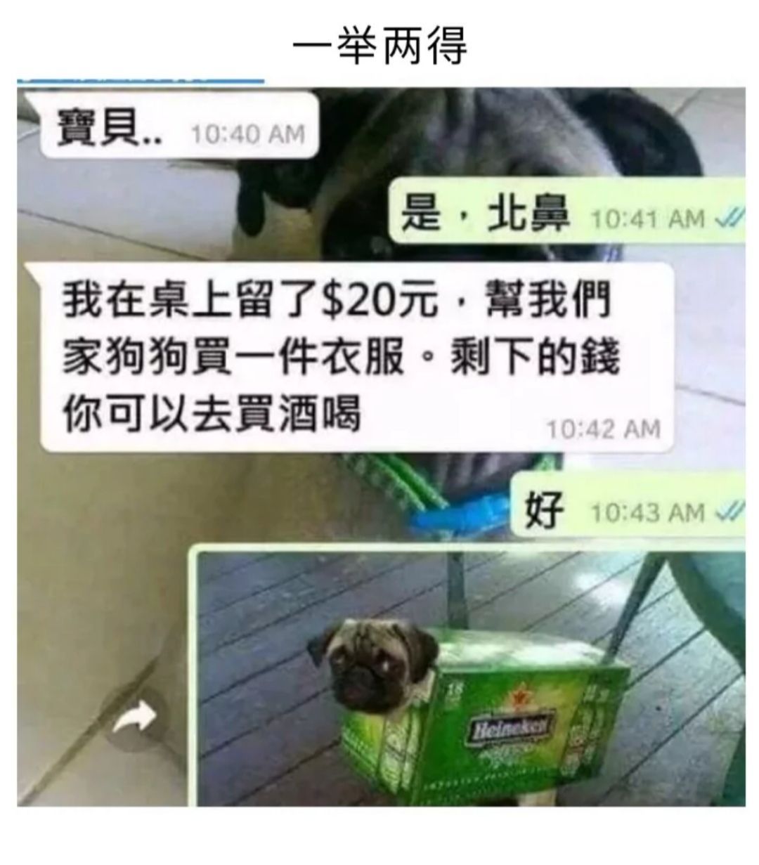 轻松一刻:搞笑图片大放送