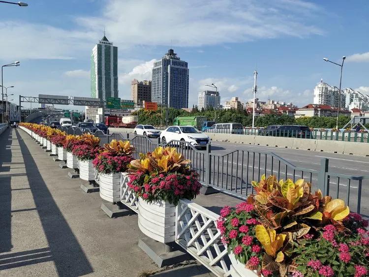 友谊路淞宝路同济路宝杨路宝杨路铁力路友谊路同济路西侧友谊西路克山