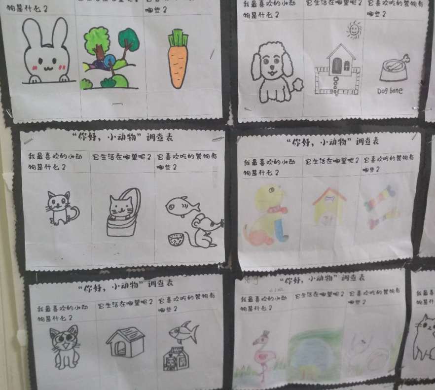 诺亚舟庆安诚恒幼儿园小三班娃娃乐之你好小动物