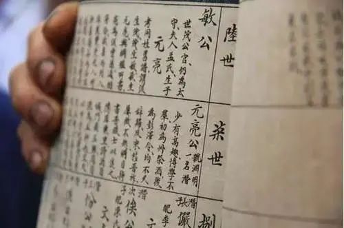 族谱上人口_人口普查图片(2)