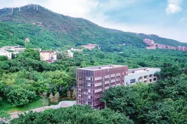 深圳国际学校排名_无房产限制!深圳10大TOP级国际学校!多数学