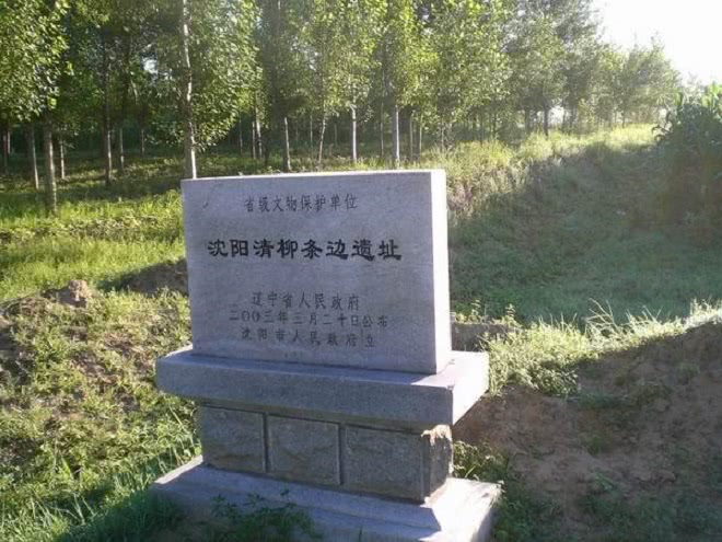 清朝东北人口有多少_北流隆盛镇有多少人口