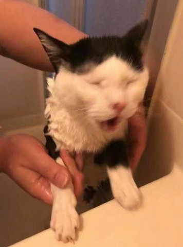 607bcc3da89240d488d57b897057b9d6.jpeg