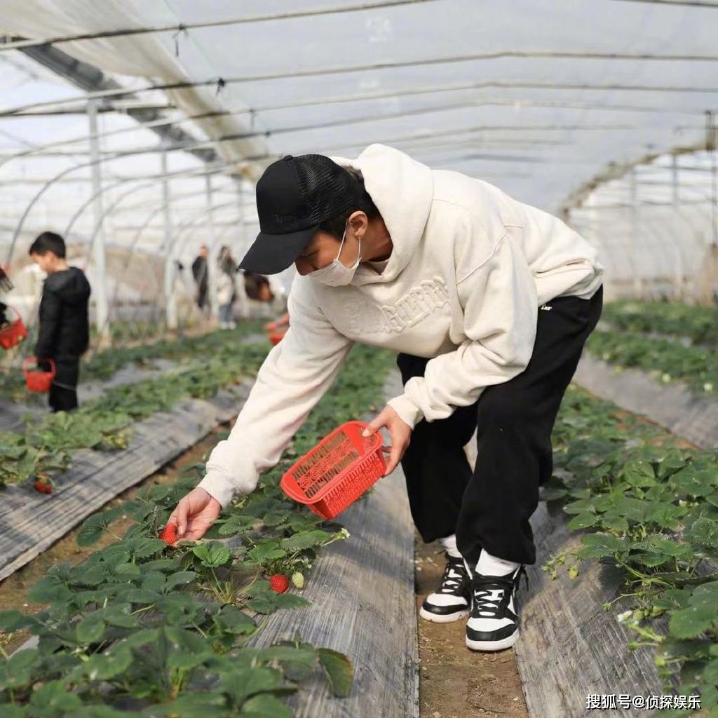 孙俪分享女儿小创意，小花用饼干拼出可爱卡通