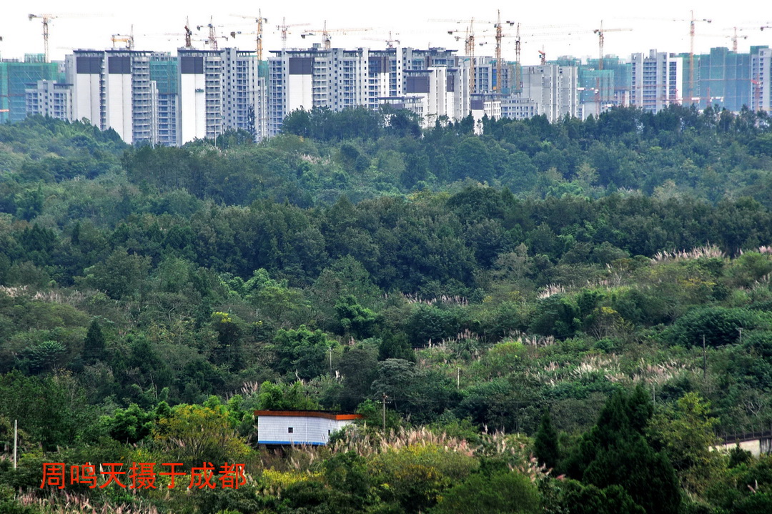 15,在马鞍山观景台拉近三岔湖,远处正在建设中的楼房.还是没多大特色.