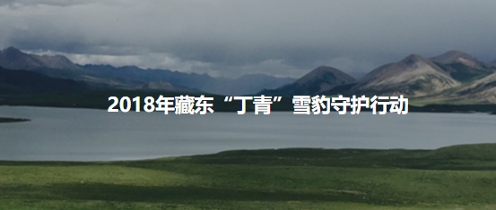 对环境污染说不。亚龙双引擎版节能减排之路的先锋