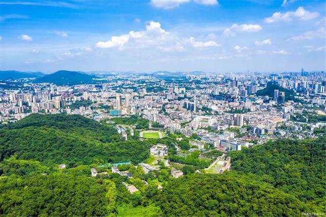 广州2021各区人口_广州各区gdp2021图(3)