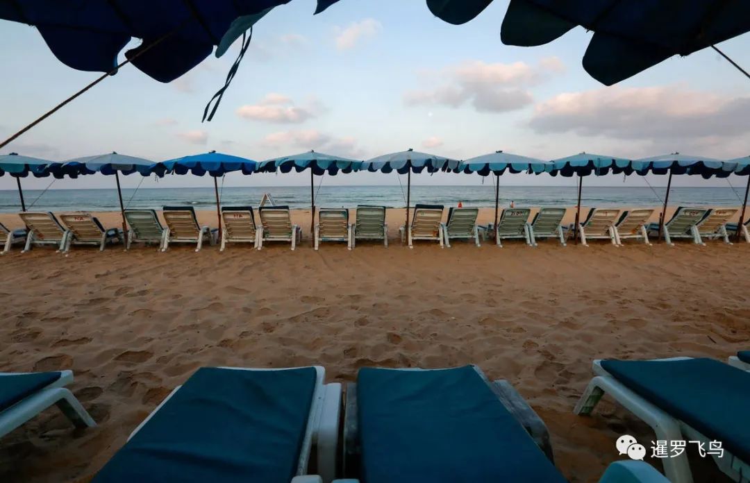 世界gdp百分比排行2020_中国gdp增长百分比(3)