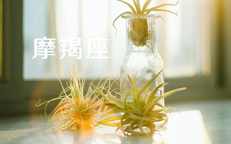 天蝎星座运势十月 47152a7926944312ae1a098020592dc8.jpeg
