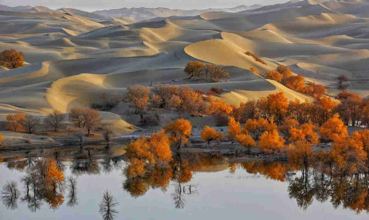 新疆旅游攻略(45)-新疆旅游景区景点关键字-新疆必去十大胡杨林
