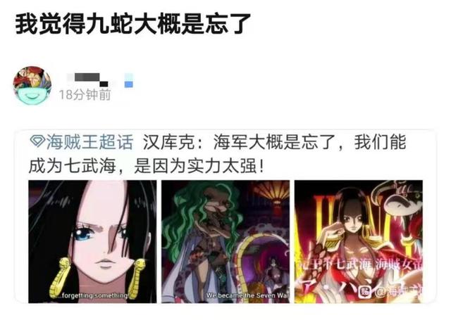 在海贼王动画957集里,海军让克比率领了十几艘军舰去抓女帝,九蛇岛的