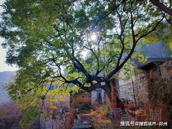 山村“头脑风暴”话振兴